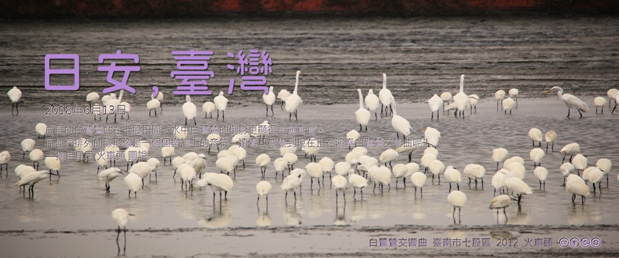 365 日安，臺灣之2018年6月13日